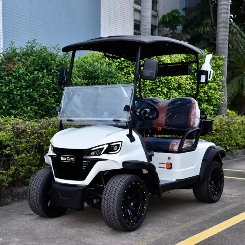 5KW-Motor-2-Seaters-Golf-Cart (1)